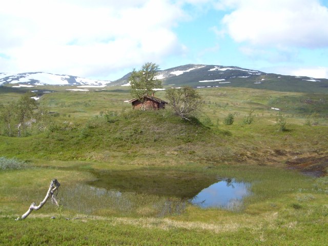 20040728/Statskogs gapahuk ved Krutvatnet.jpg
